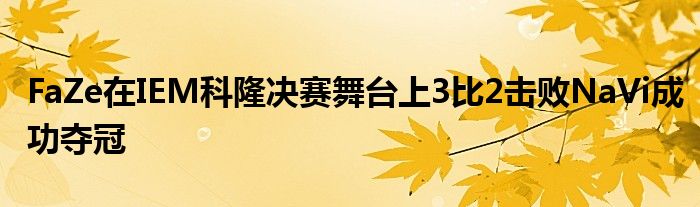 FaZe在IEM科隆決賽舞臺(tái)上3比2擊敗NaVi成功奪冠