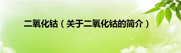 二氧化鈷（關(guān)于二氧化鈷的簡(jiǎn)介）