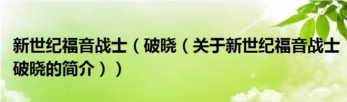 新世紀(jì)福音戰(zhàn)士（破曉（關(guān)于新世紀(jì)福音戰(zhàn)士破曉的簡(jiǎn)介））