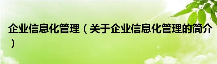 企業(yè)信息化管理（關于企業(yè)信息化管理的簡介）