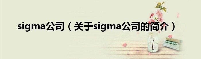 sigma公司（關(guān)于sigma公司的簡(jiǎn)介）