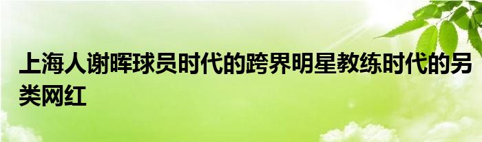 上海人謝暉球員時(shí)代的跨界明星教練時(shí)代的另類網(wǎng)紅