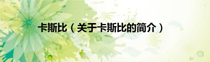 卡斯比（關(guān)于卡斯比的簡(jiǎn)介）