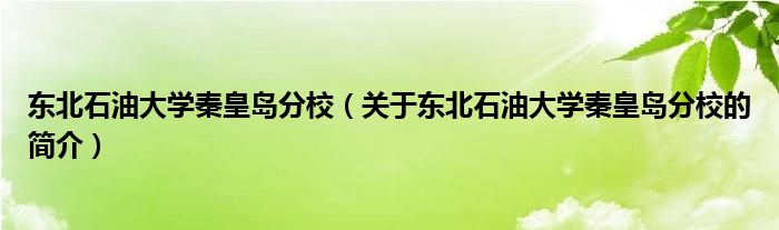 東北石油大學(xué)秦皇島分校（關(guān)于東北石油大學(xué)秦皇島分校的簡介）