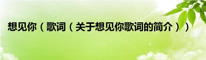 想見你（歌詞（關(guān)于想見你歌詞的簡(jiǎn)介））