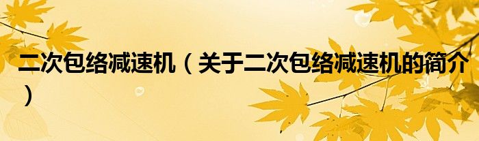 二次包絡減速機（關于二次包絡減速機的簡介）