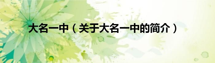 大名一中（關(guān)于大名一中的簡(jiǎn)介）