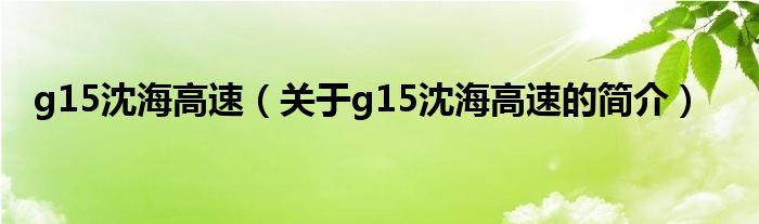 g15沈海高速（關(guān)于g15沈海高速的簡(jiǎn)介）