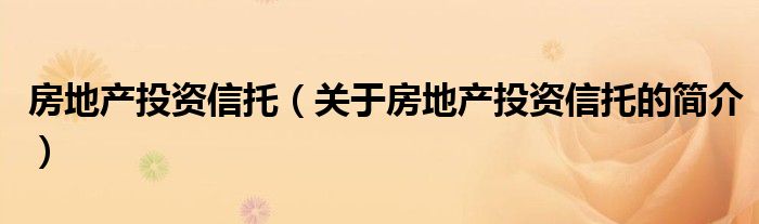 房地產投資信托（關于房地產投資信托的簡介）