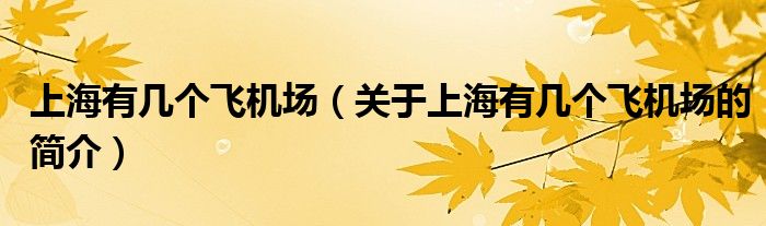 上海有幾個飛機場（關(guān)于上海有幾個飛機場的簡介）