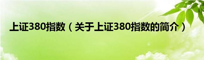 上證380指數(shù)（關(guān)于上證380指數(shù)的簡介）