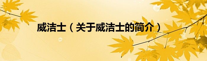 威潔士（關(guān)于威潔士的簡(jiǎn)介）