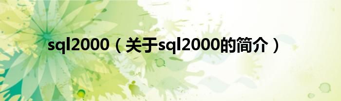 sql2000（關(guān)于sql2000的簡介）