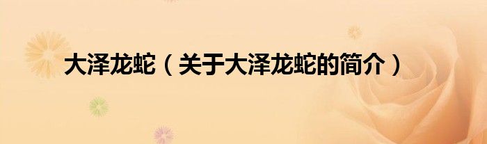 大澤龍蛇（關(guān)于大澤龍蛇的簡(jiǎn)介）