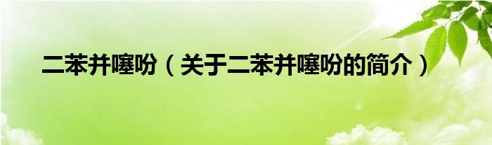 二苯并噻吩（關(guān)于二苯并噻吩的簡(jiǎn)介）