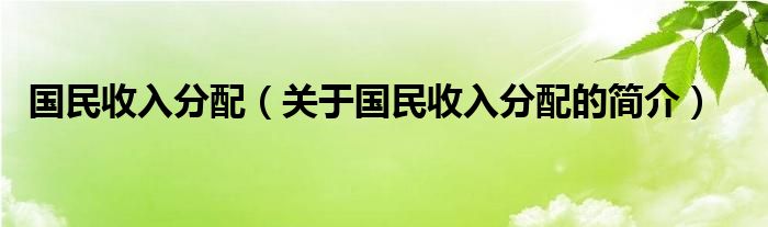 國民收入分配（關(guān)于國民收入分配的簡介）