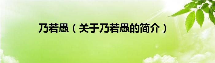 乃若愚（關于乃若愚的簡介）