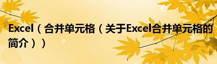 Excel（合并單元格（關(guān)于Excel合并單元格的簡(jiǎn)介））