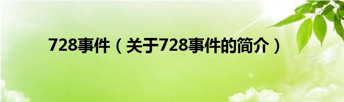 728事件（關(guān)于728事件的簡介）