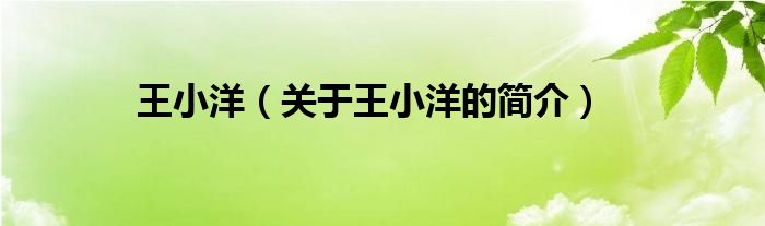 王小洋（關(guān)于王小洋的簡介）