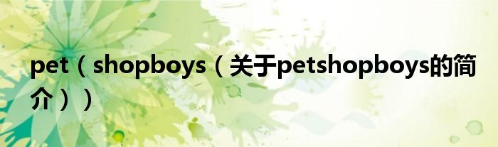 pet（shopboys（關(guān)于petshopboys的簡(jiǎn)介））