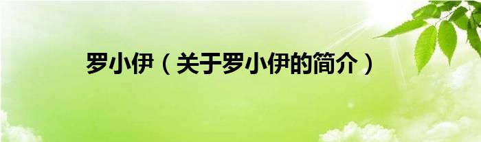 羅小伊（關(guān)于羅小伊的簡介）