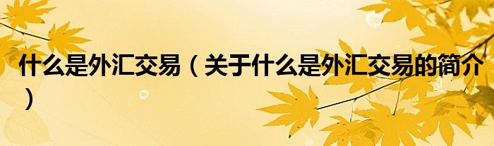 什么是外匯交易（關(guān)于什么是外匯交易的簡(jiǎn)介）