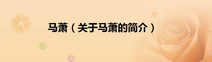 馬蕭（關(guān)于馬蕭的簡(jiǎn)介）