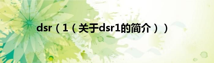 dsr（1（關(guān)于dsr1的簡介））