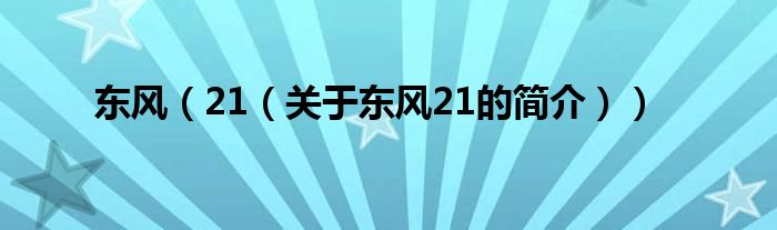 東風(fēng)（21（關(guān)于東風(fēng)21的簡(jiǎn)介））