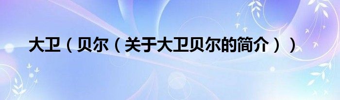 大衛(wèi)（貝爾（關(guān)于大衛(wèi)貝爾的簡(jiǎn)介））