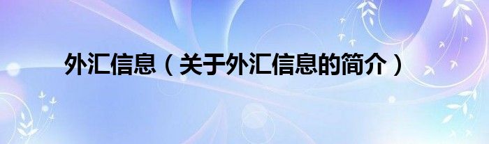 外匯信息（關(guān)于外匯信息的簡(jiǎn)介）