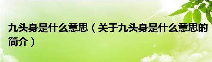 九頭身是什么意思（關(guān)于九頭身是什么意思的簡(jiǎn)介）