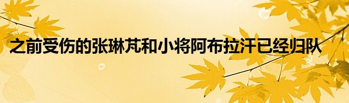 之前受傷的張琳芃和小將阿布拉汗已經(jīng)歸隊