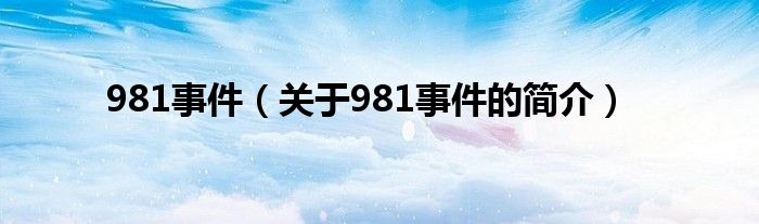 981事件（關于981事件的簡介）