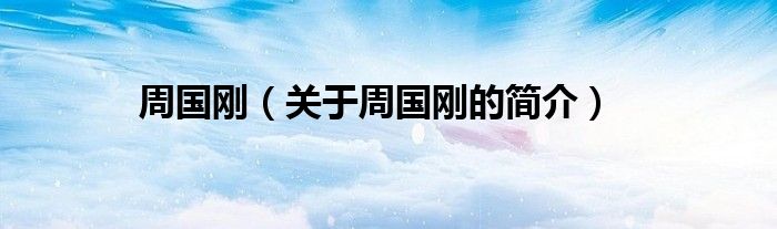 周?chē)?guó)剛（關(guān)于周?chē)?guó)剛的簡(jiǎn)介）