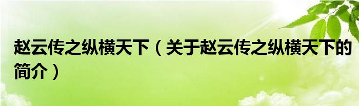 趙云傳之縱橫天下（關(guān)于趙云傳之縱橫天下的簡(jiǎn)介）