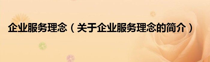 企業(yè)服務(wù)理念（關(guān)于企業(yè)服務(wù)理念的簡介）