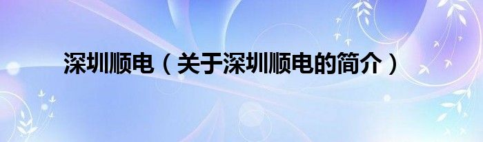 深圳順電（關(guān)于深圳順電的簡(jiǎn)介）