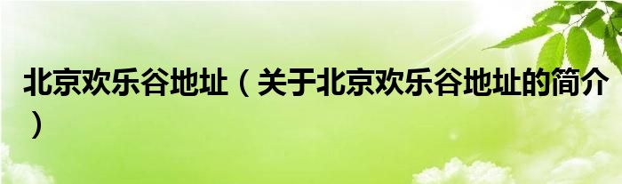 北京歡樂谷地址（關(guān)于北京歡樂谷地址的簡介）