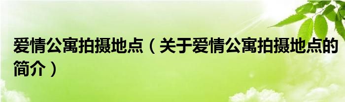 愛(ài)情公寓拍攝地點(diǎn)（關(guān)于愛(ài)情公寓拍攝地點(diǎn)的簡(jiǎn)介）