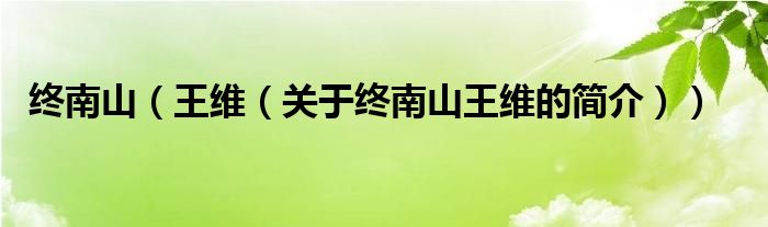 終南山（王維（關(guān)于終南山王維的簡(jiǎn)介））