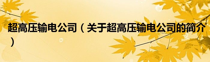 超高壓輸電公司（關(guān)于超高壓輸電公司的簡介）