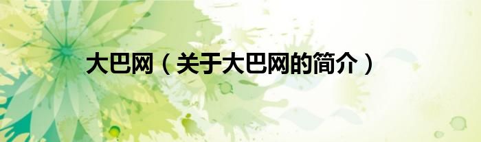 大巴網(wǎng)（關(guān)于大巴網(wǎng)的簡(jiǎn)介）