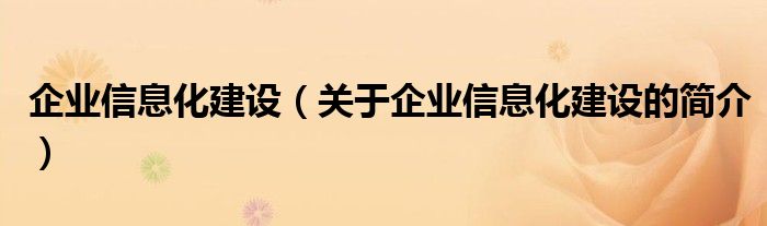 企業(yè)信息化建設（關(guān)于企業(yè)信息化建設的簡介）