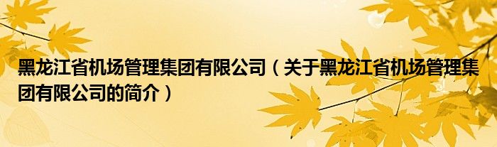 黑龍江省機(jī)場(chǎng)管理集團(tuán)有限公司（關(guān)于黑龍江省機(jī)場(chǎng)管理集團(tuán)有限公司的簡(jiǎn)介）