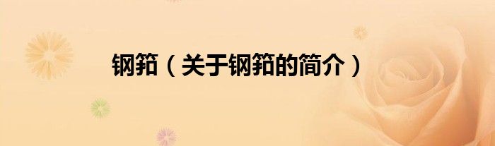 鋼筘（關(guān)于鋼筘的簡(jiǎn)介）