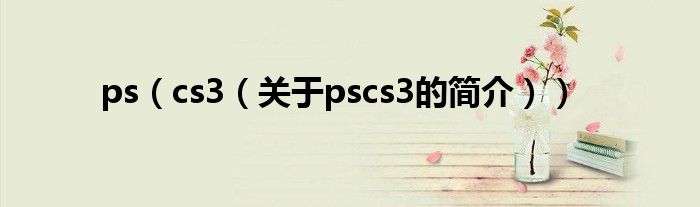 ps（cs3（關(guān)于pscs3的簡介））