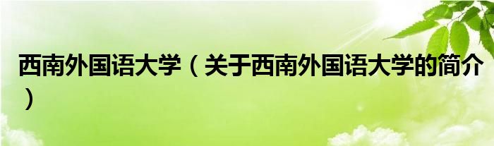 西南外國語大學（關(guān)于西南外國語大學的簡介）