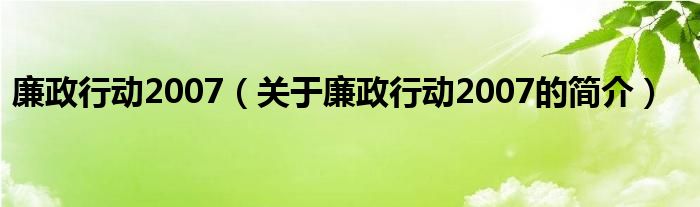 廉政行動2007（關于廉政行動2007的簡介）